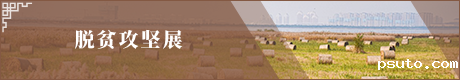 tuopin.png